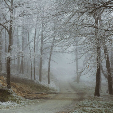 Neiges